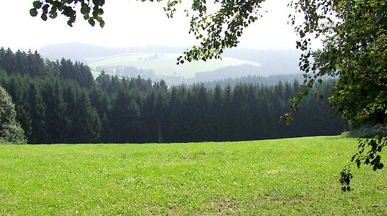 Wandern in der Natur im Bayerischen Wald